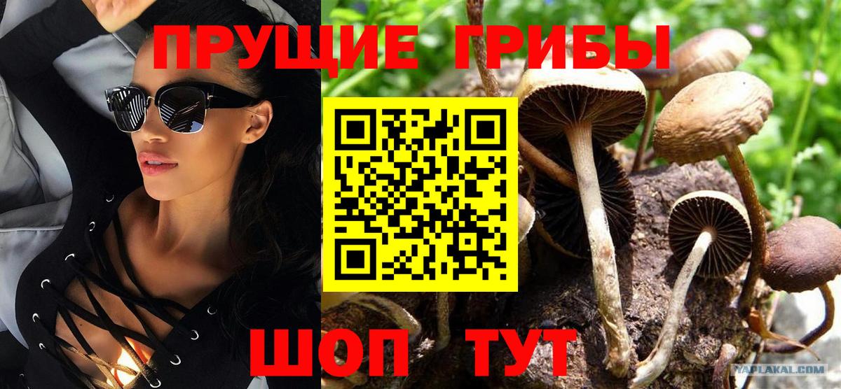 Великие Луки  Псилоцибиновые грибы мухоморы  Вход с VPN 