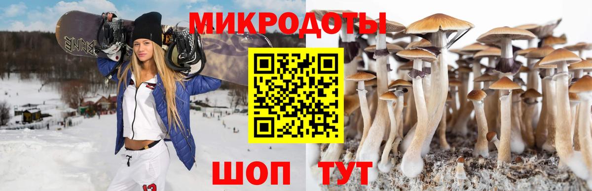 Галлюциногенные грибы мухоморы Великие Луки